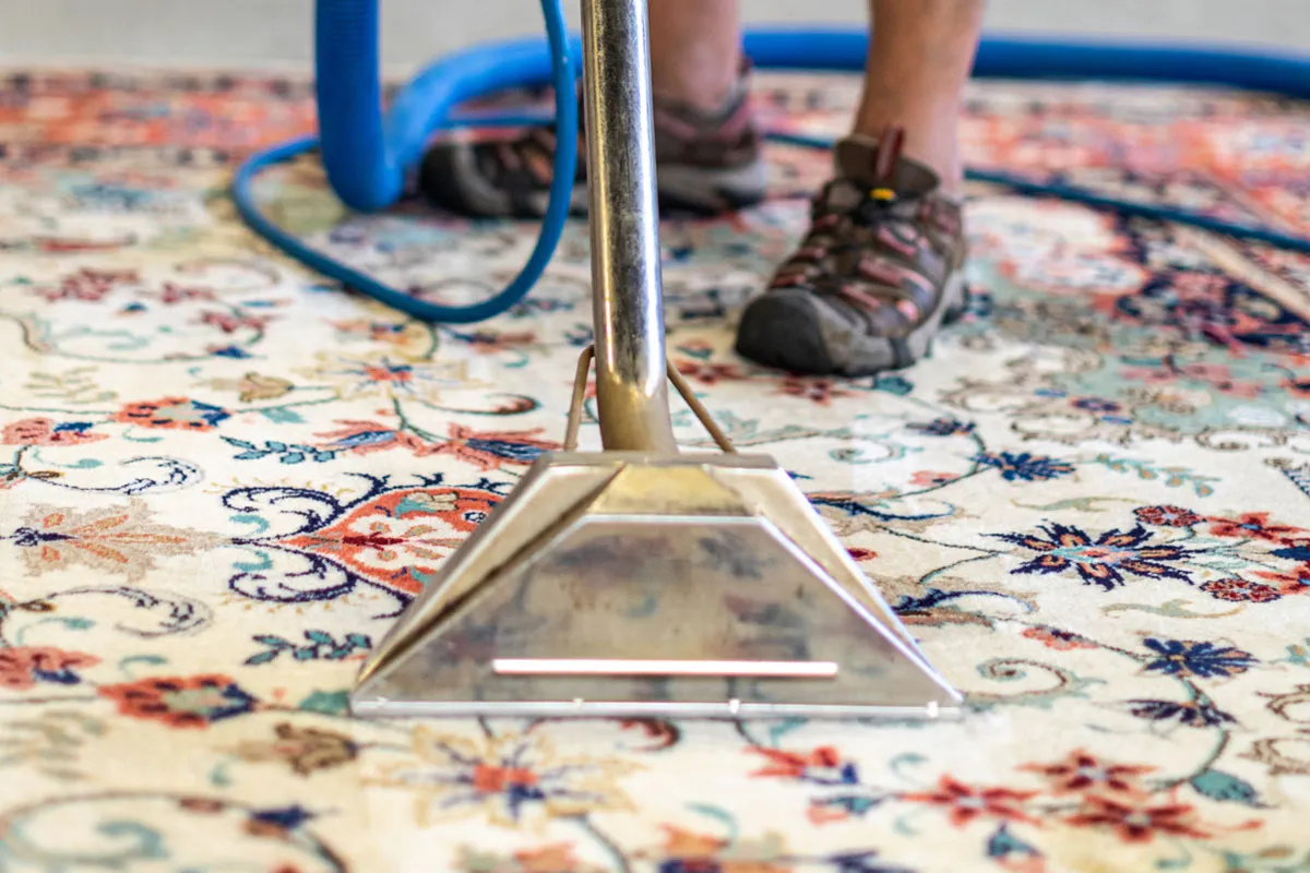 Carpets and Oriental Rugs